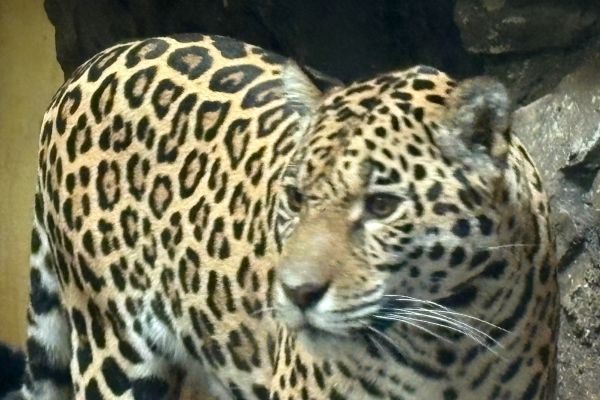 Ausflug der Lebenshilfe